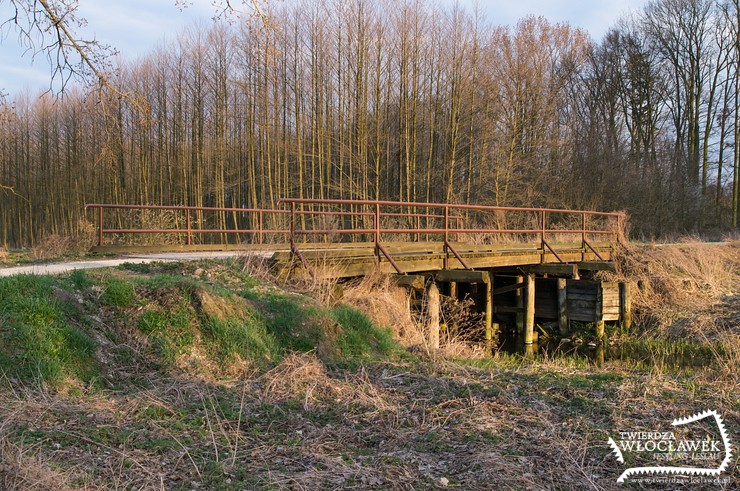 Drewniany most przez Zgłowiączkę