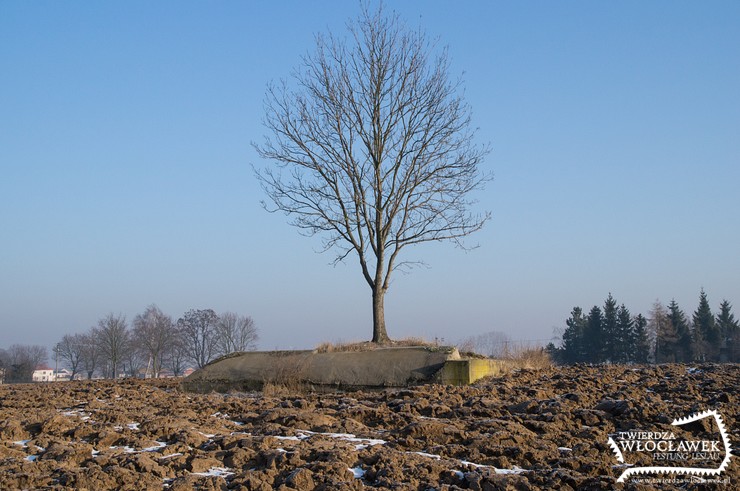 Regelbau 668 – schron bierny