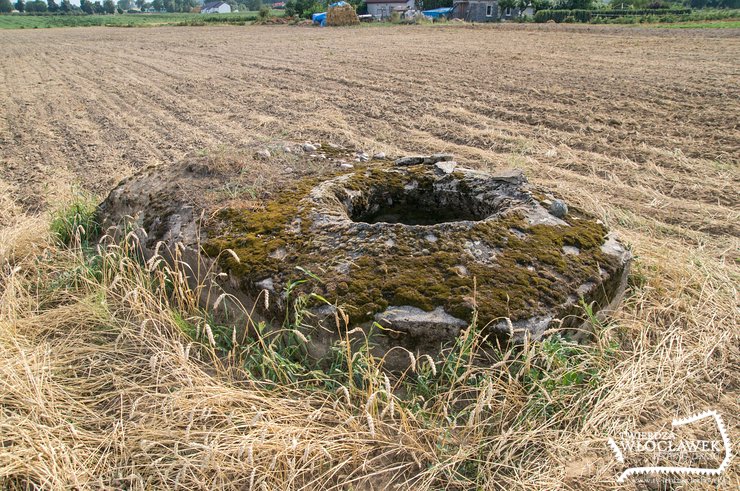 Nikłe pozostałości dawnej potęgi