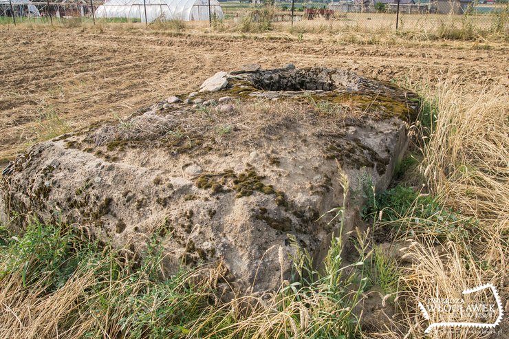 Nikłe pozostałości dawnej potęgi