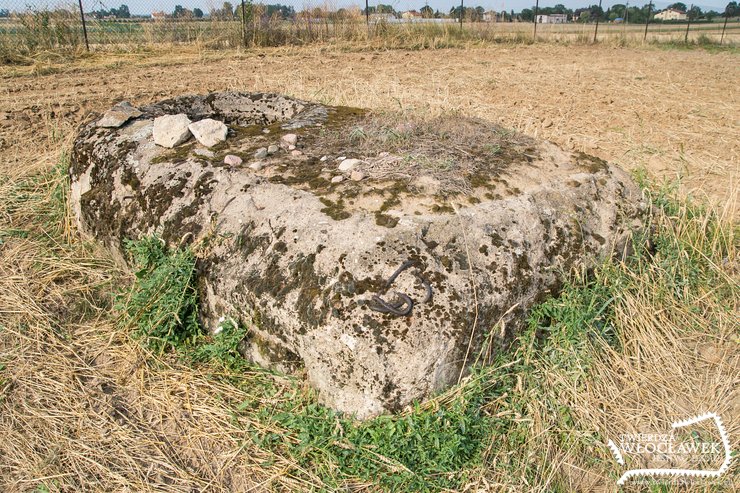 Nikłe pozostałości dawnej potęgi