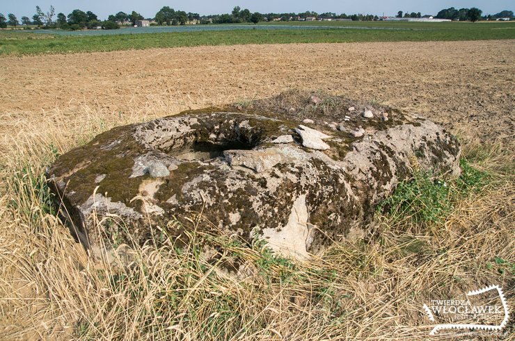 Nikłe pozostałości dawnej potęgi