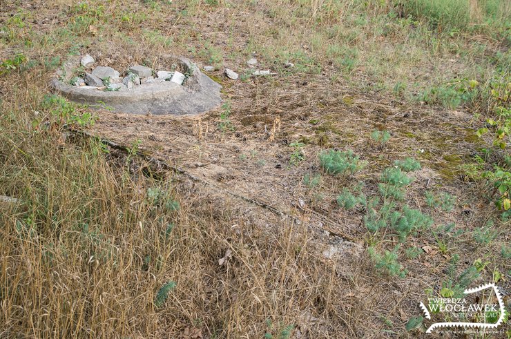 Schron ukryty na działce - niezwykłe spotkanie