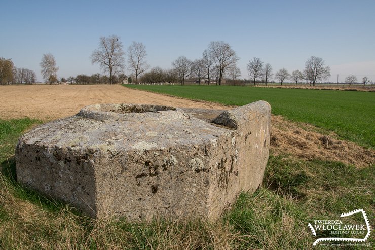 Nikłe pozostałości dawnej potęgi