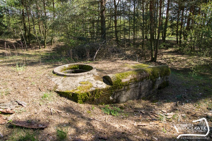 Zaplecze pozycji też umocnione