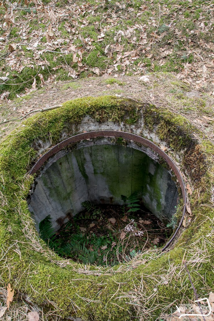 Nowy Witoszyn