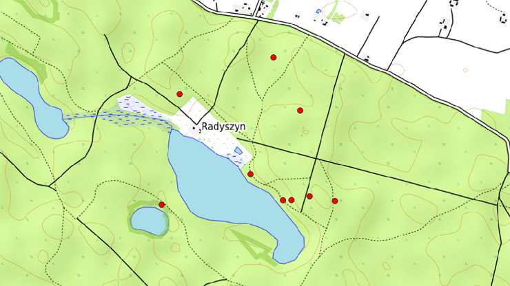 Radyszyn
