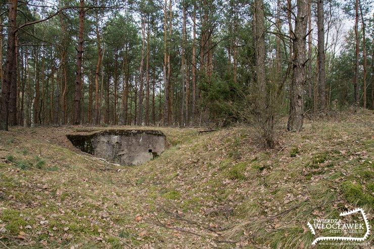 Stary Witoszyn