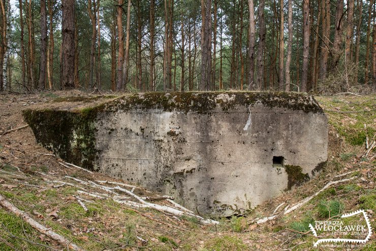 Stary Witoszyn