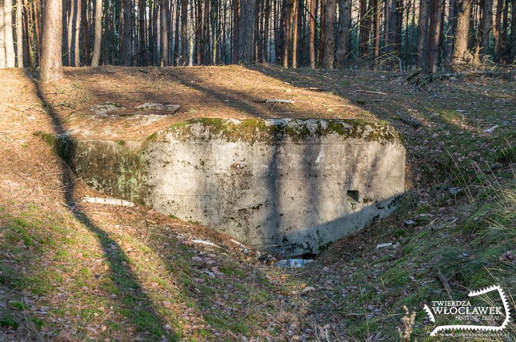 Stary Witoszyn