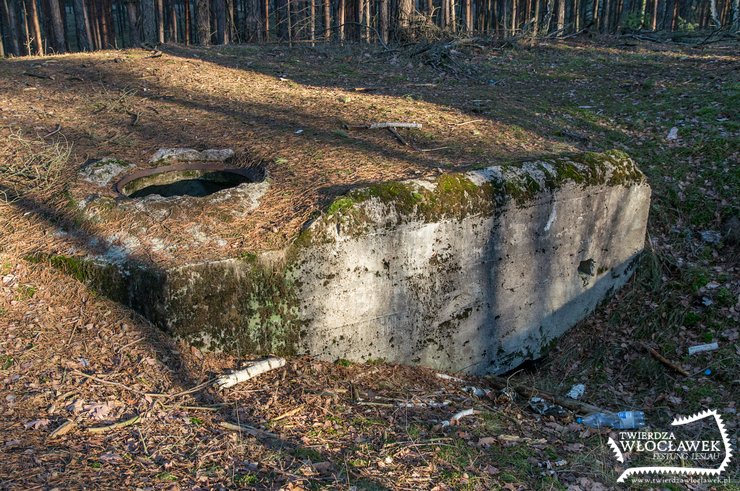 Stary Witoszyn