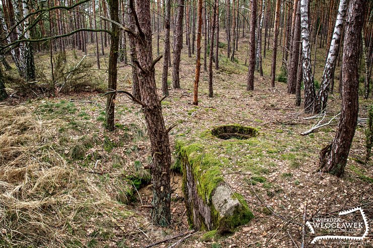 Stary Witoszyn