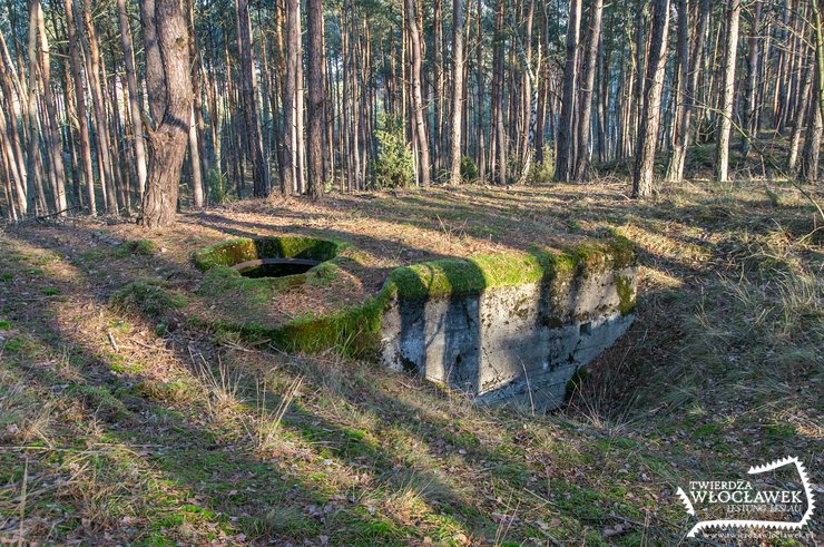 Stary Witoszyn