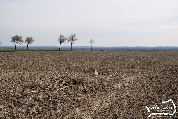 Perfekcyjnie zamaskowany strażnik drogi