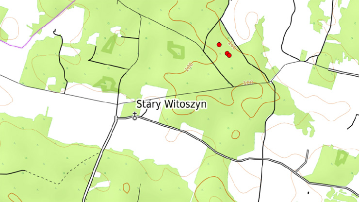 Stary Witoszyn