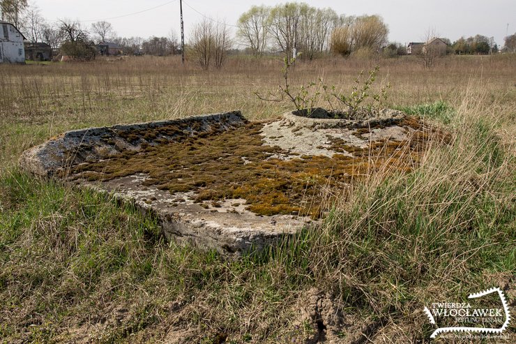 Ciekawe jak długo ocaleją?