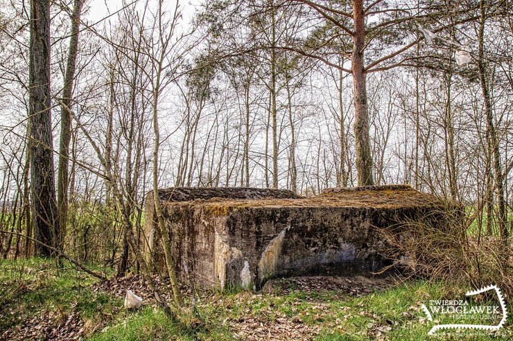 Samotny strażnik przepustu