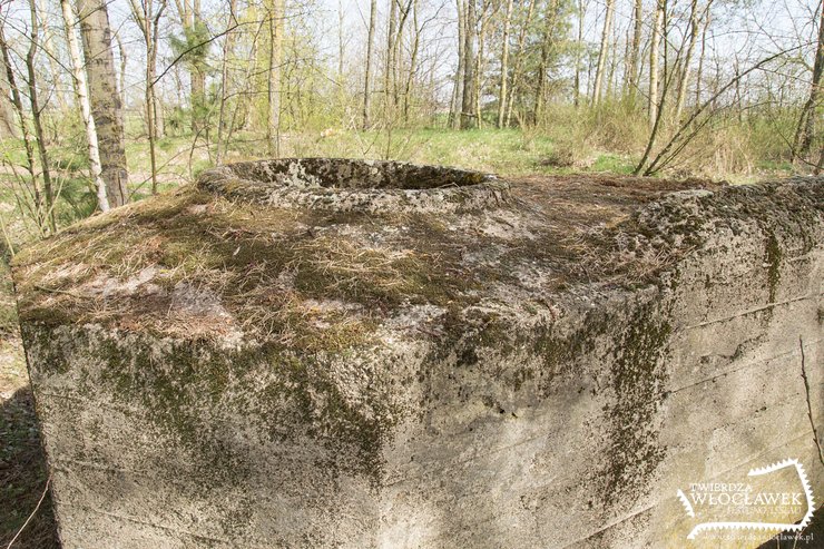 Samotny strażnik przepustu