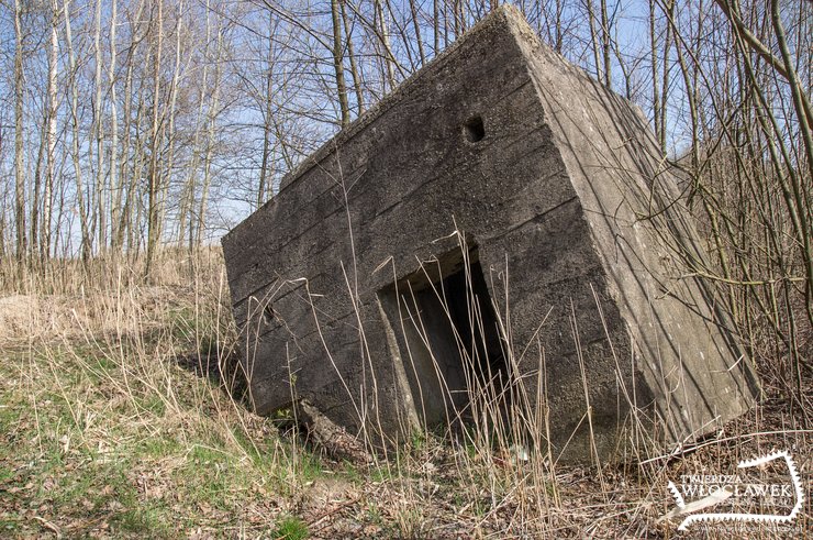 Prawdziwy skansen „twierdzy” za stodołą