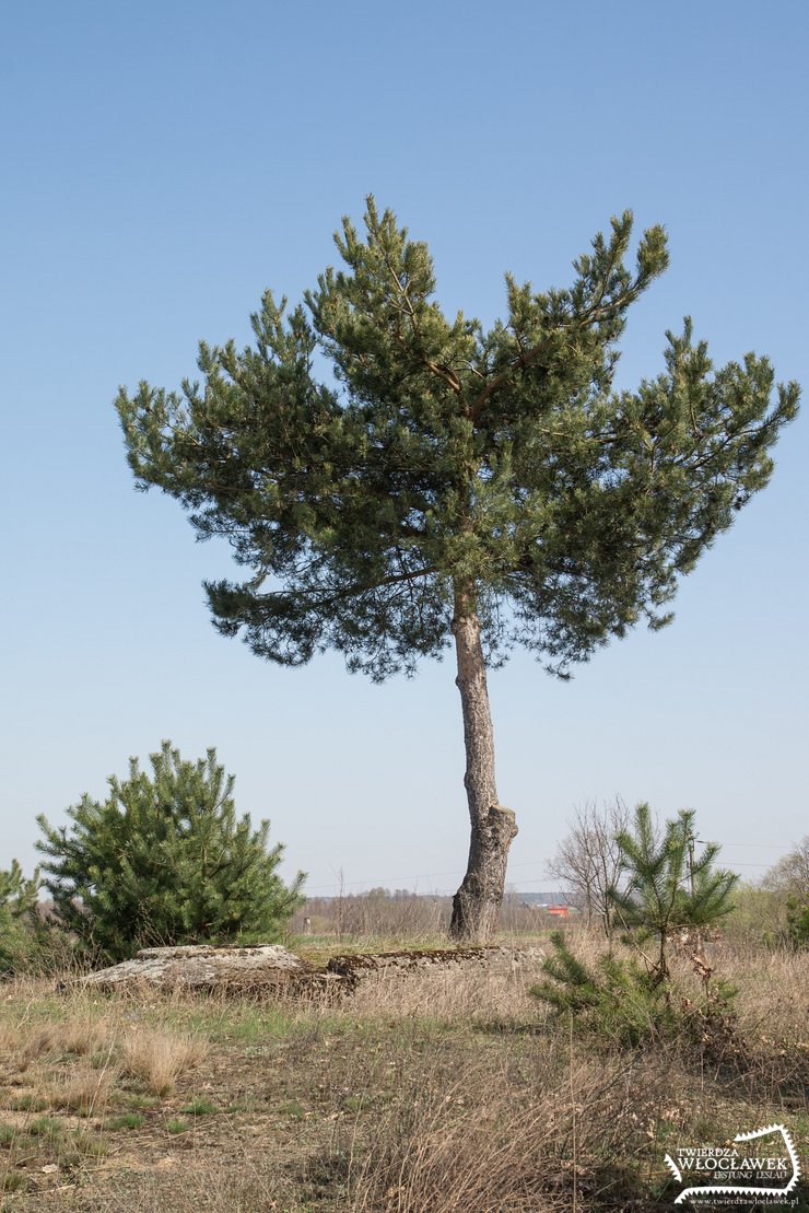 Nad szeroką równiną