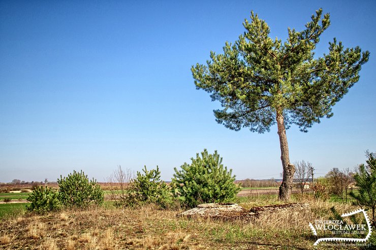 Nad szeroką równiną