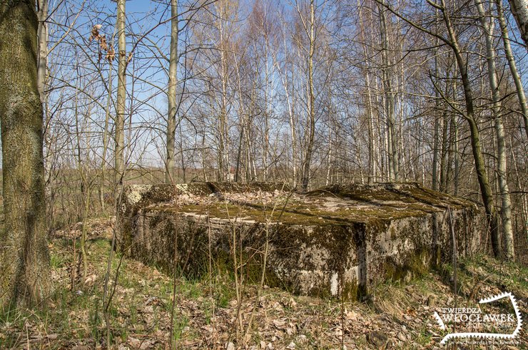 Prawdziwy skansen „twierdzy” za stodołą