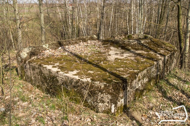 Prawdziwy skansen „twierdzy” za stodołą