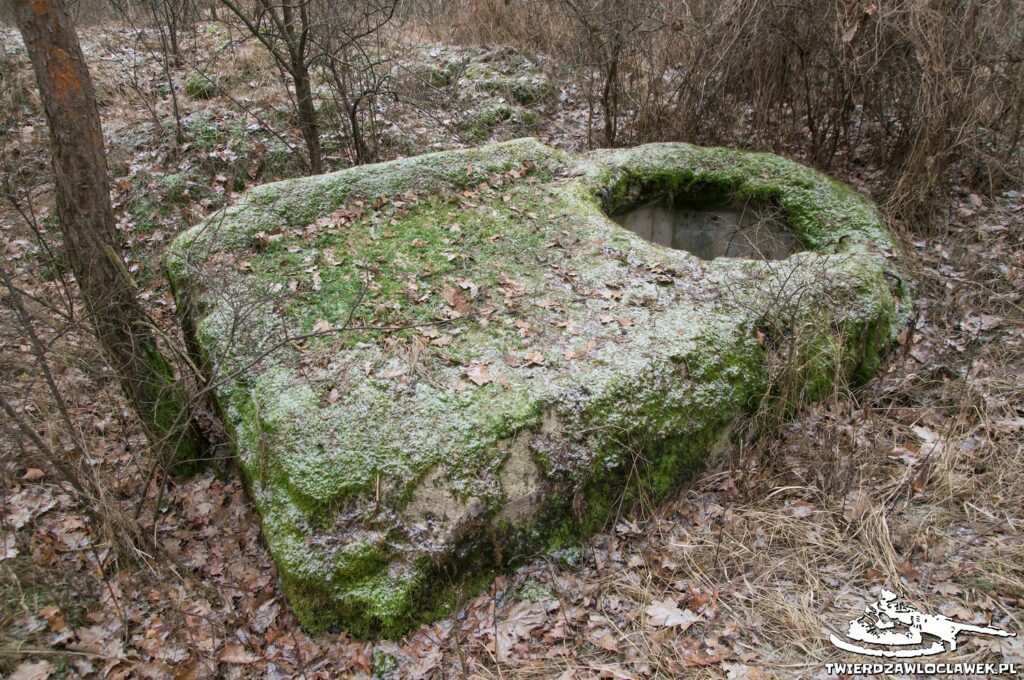 Schron Ringstand 58c