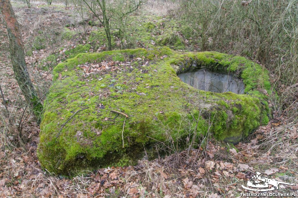 Schron Ringstand 58c