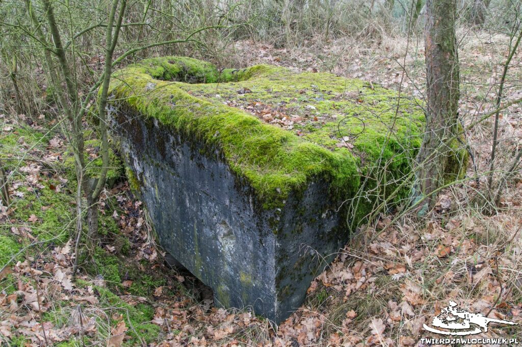 Schron Ringstand 58c