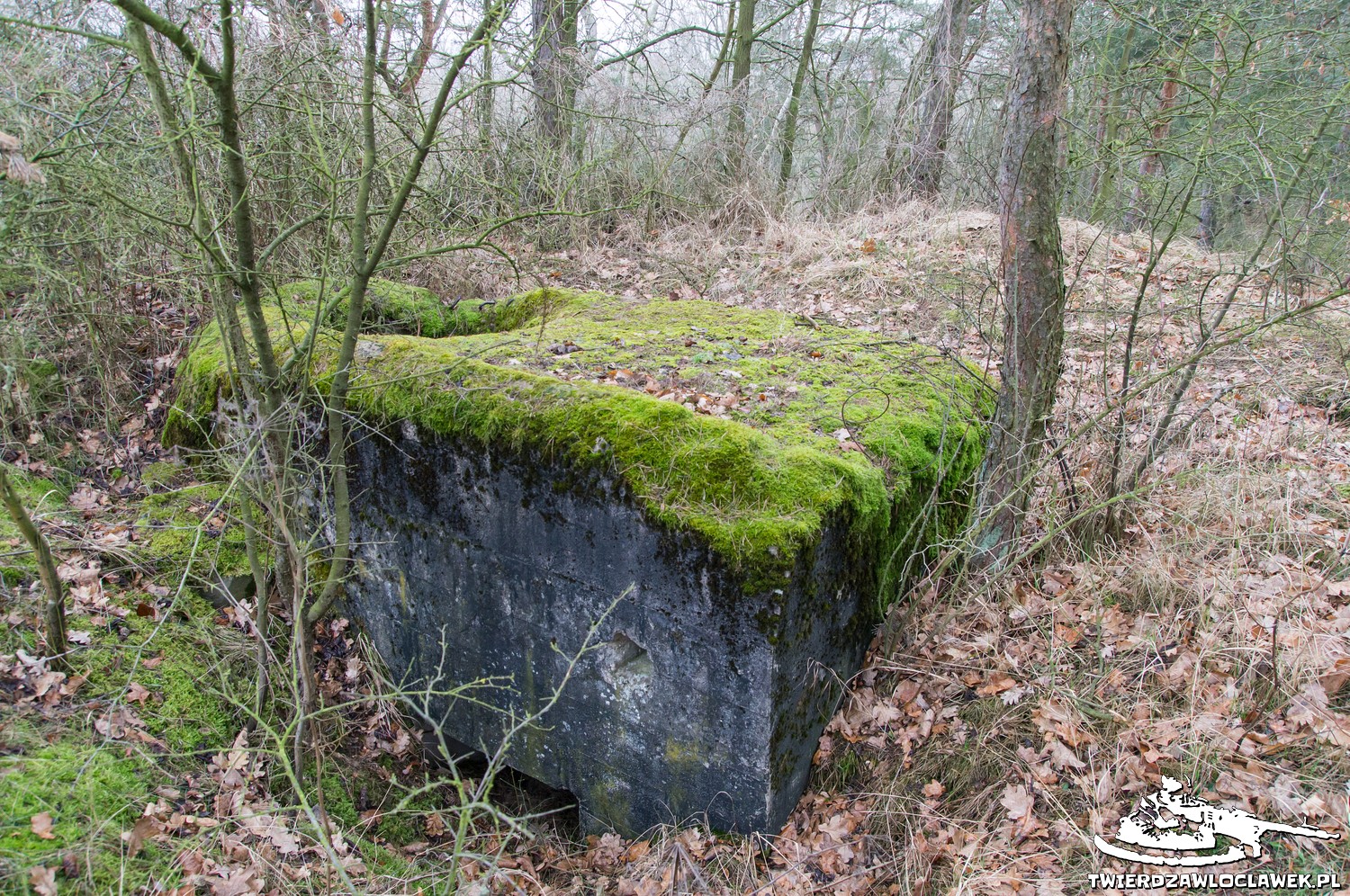 Read more about the article Schron Ringstand 58c – B 01