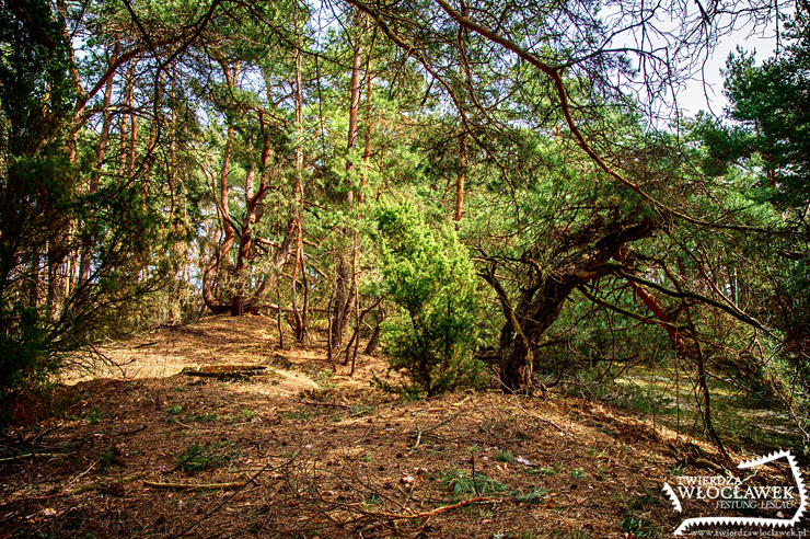 Twierdzawloclawek.pl