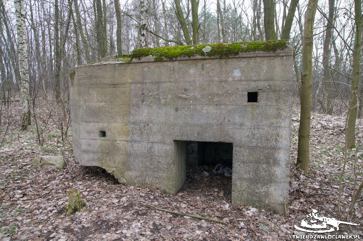 Read more about the article Schron Ringstand 58c – WK 05