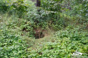 Read more about the article Schron Ringstand 58c – GJ 04