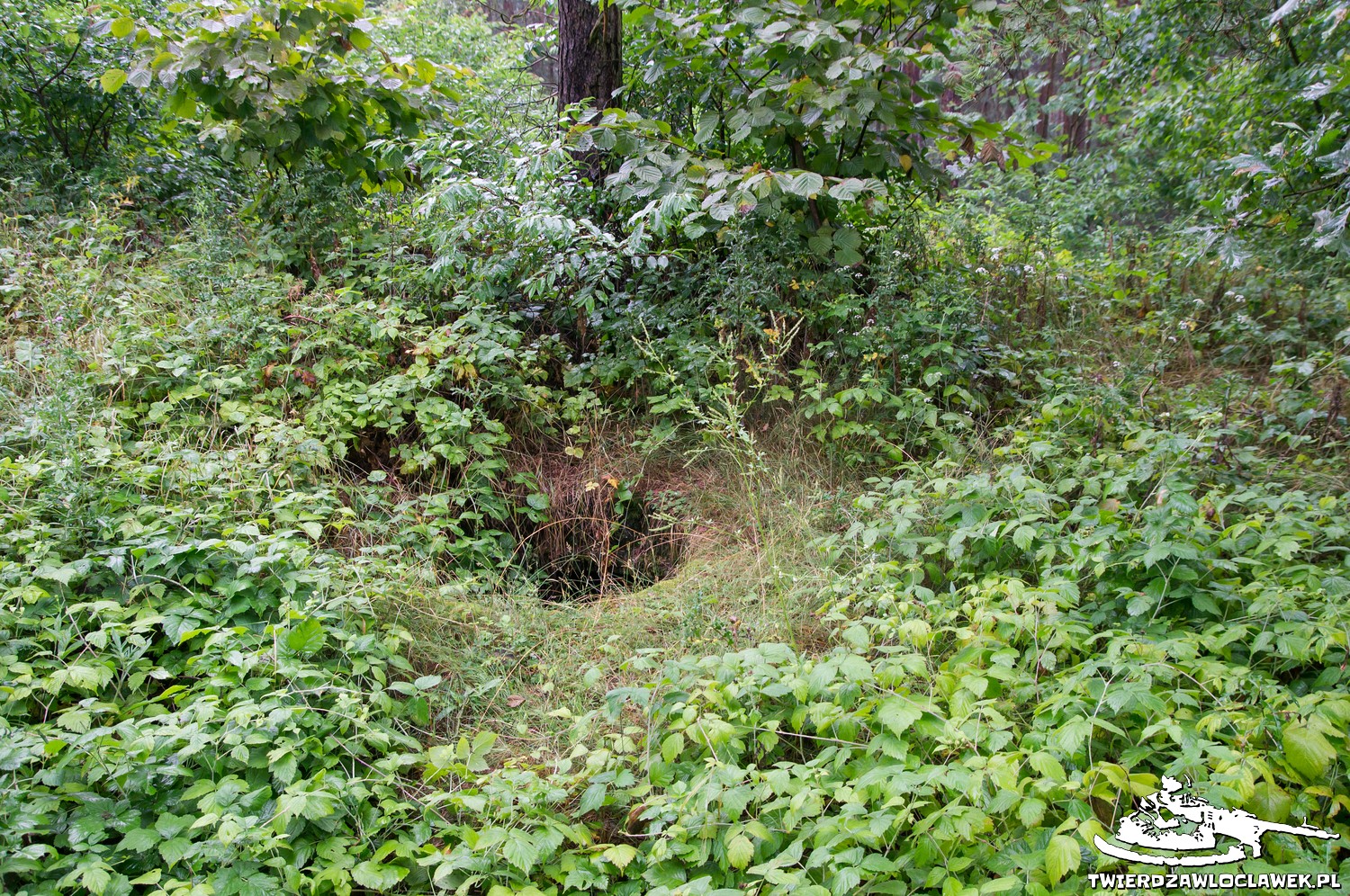 Read more about the article Schron Ringstand 58c – GJ 04