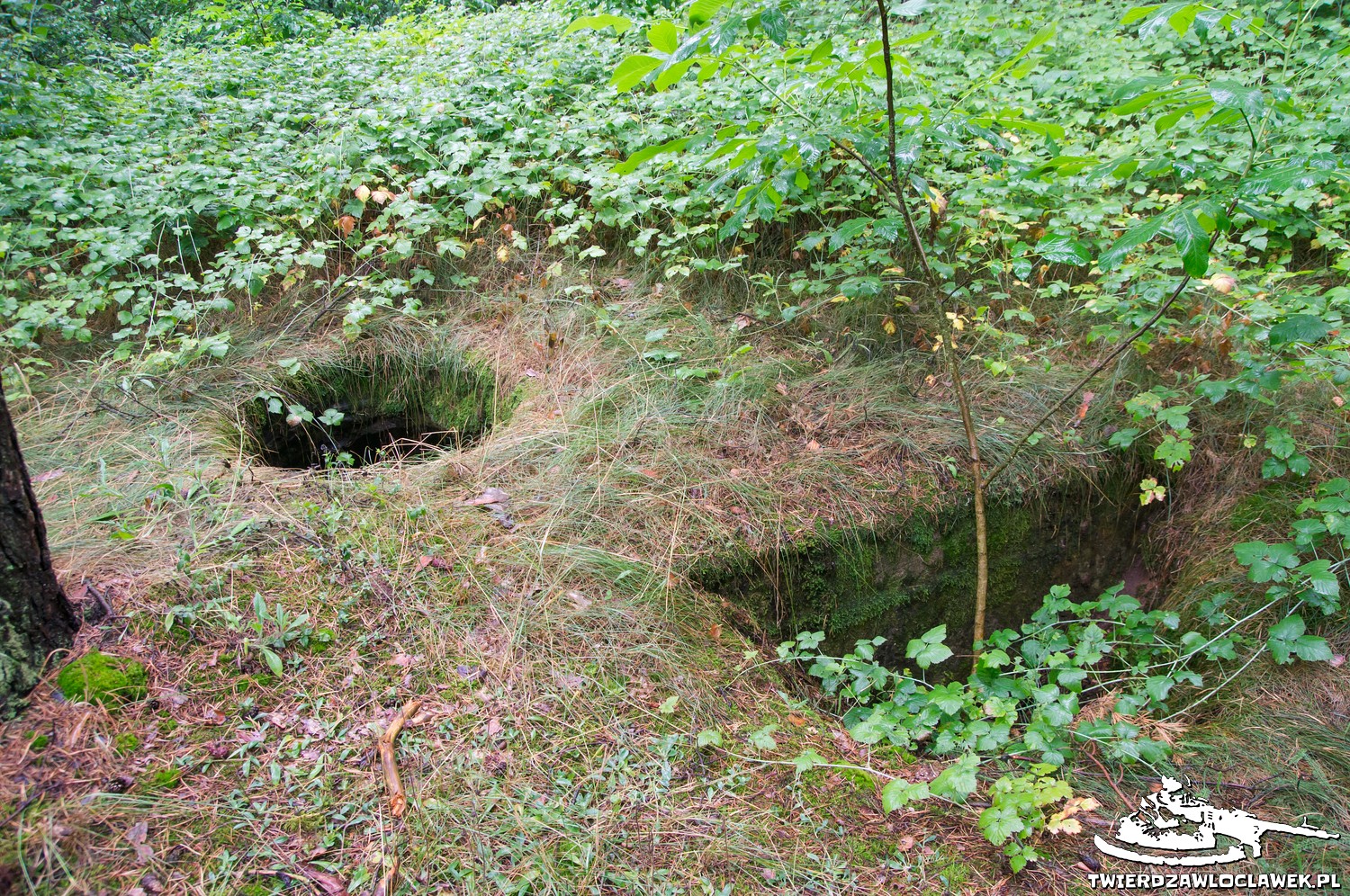 Read more about the article Schron Ringstand 58c – GJ 05