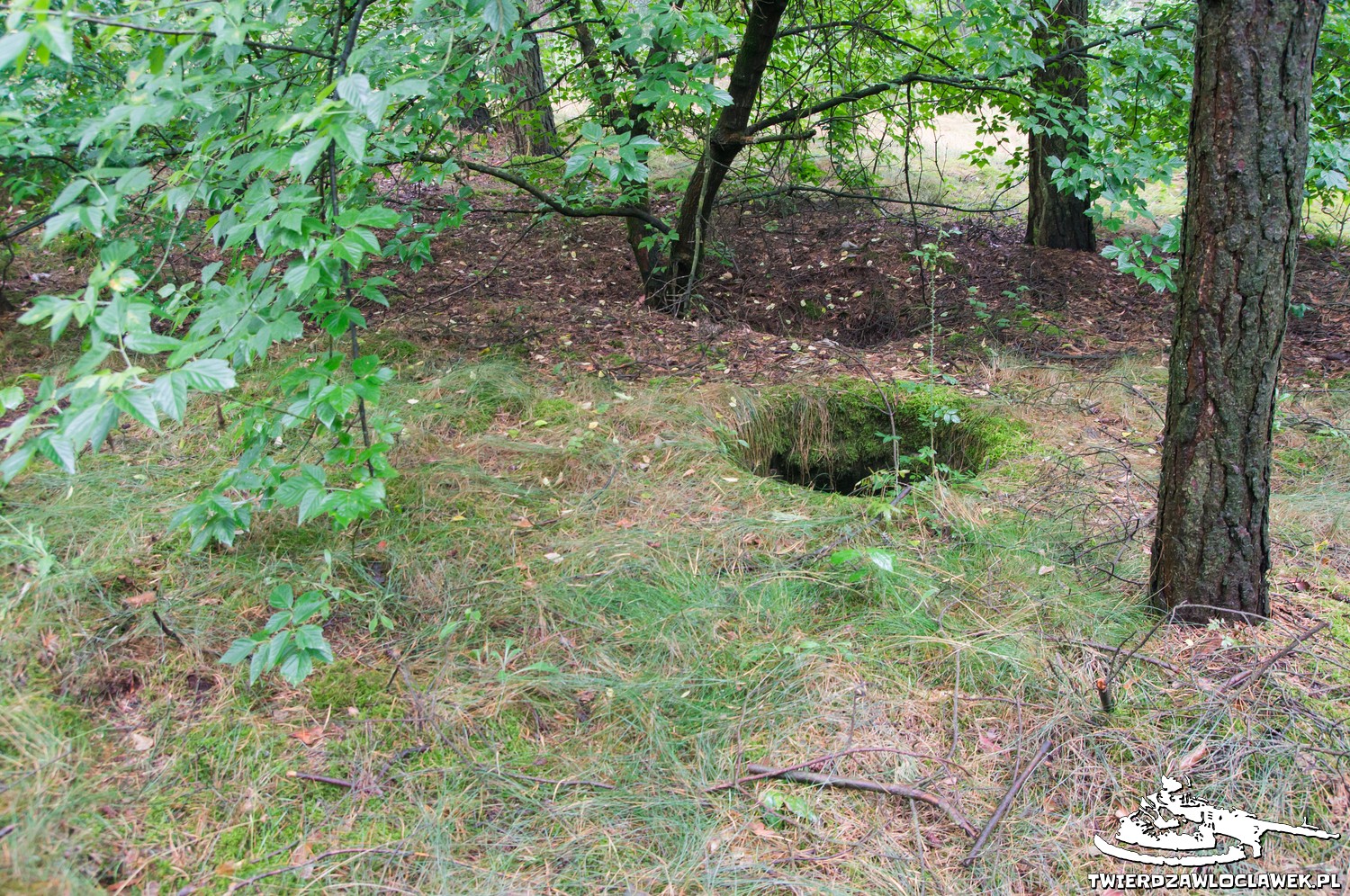 Read more about the article Schron Ringstand 58c – GJ 06