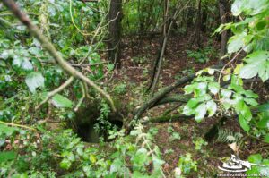 Read more about the article Schron Ringstand 58c – GJ 09