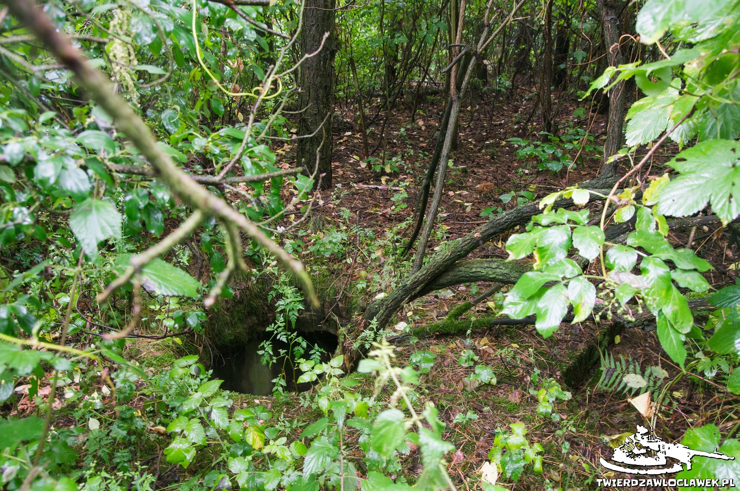 Read more about the article Schron Ringstand 58c – GJ 09