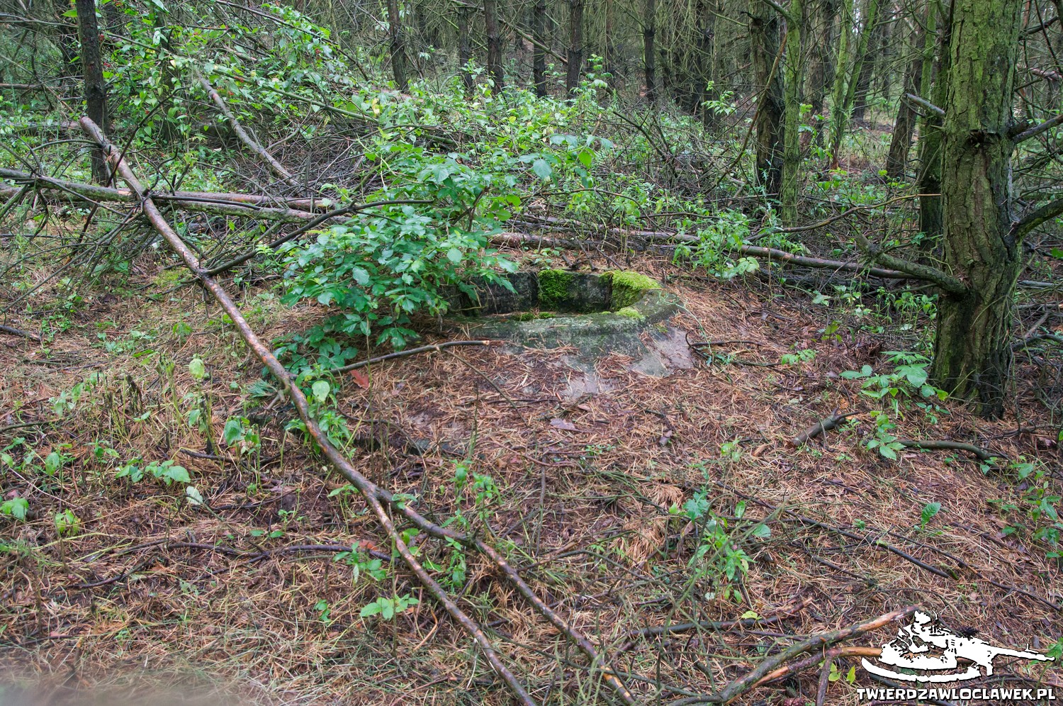 Read more about the article Schron Ringstand 58c – GJ 08