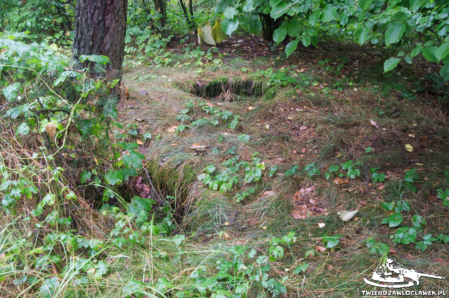 Read more about the article Schron Ringstand 58c – GJ 19