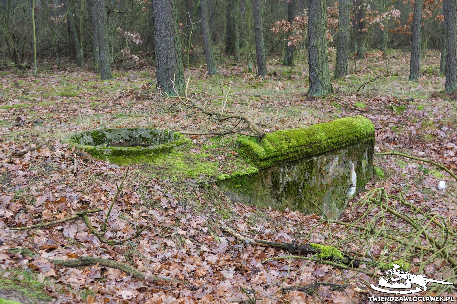 Read more about the article Schron Ringstand 58c – ZF 01