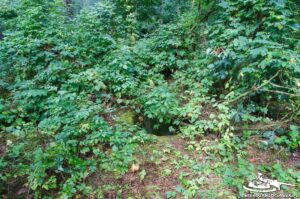 Read more about the article Schron Ringstand 58c – GJ 03