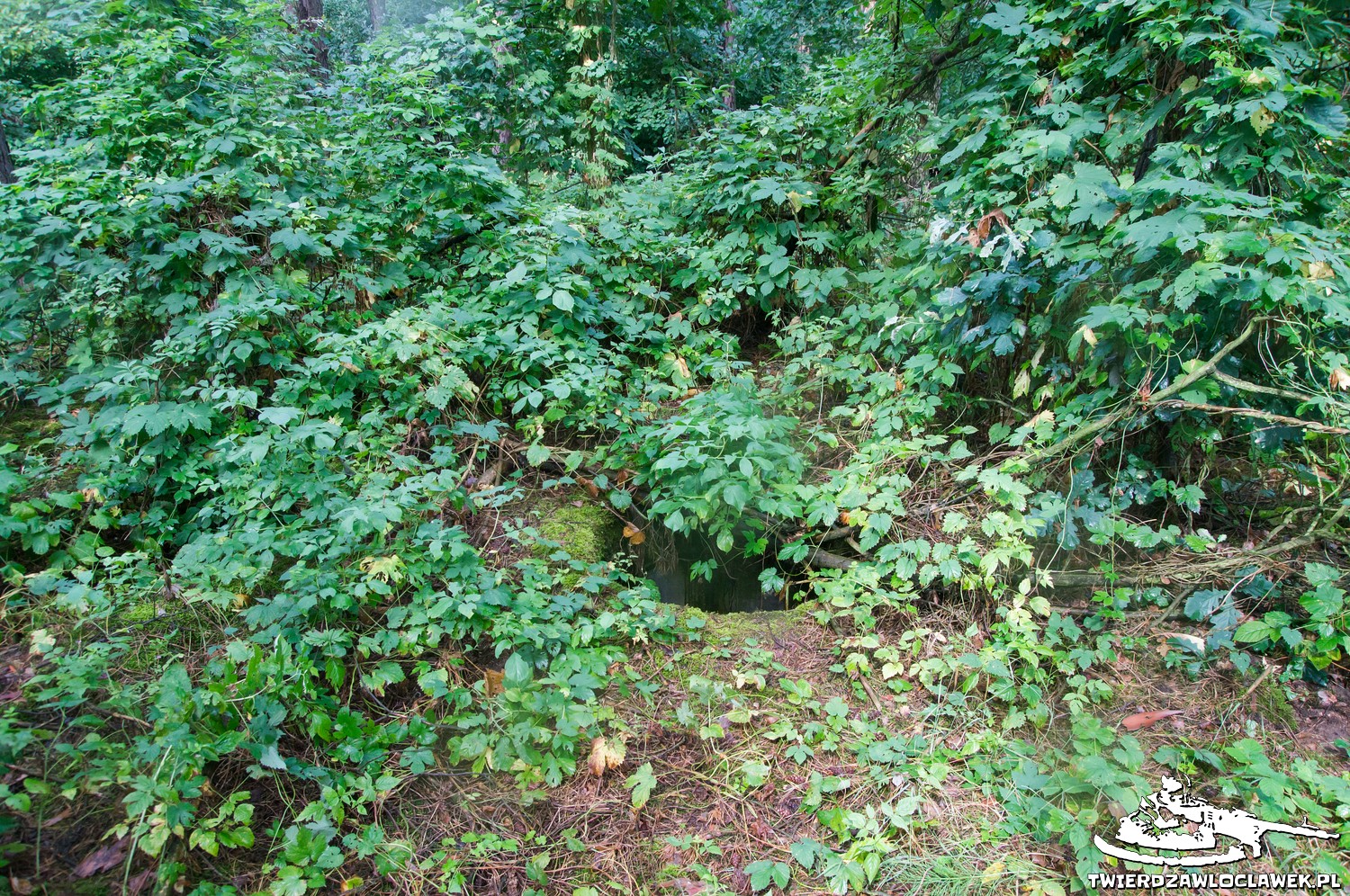 Read more about the article Schron Ringstand 58c – GJ 03