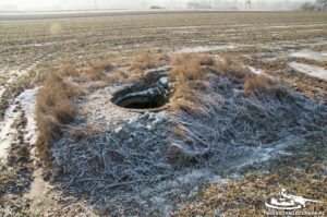 Read more about the article Schron Ringstand 58c – SE 02