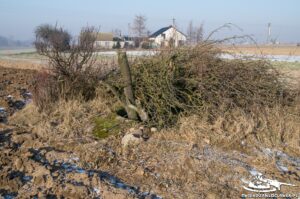 Read more about the article Schron Ringstand 58c – SE 07