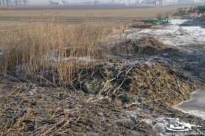 Read more about the article Schron Ringstand 58c – SE 01