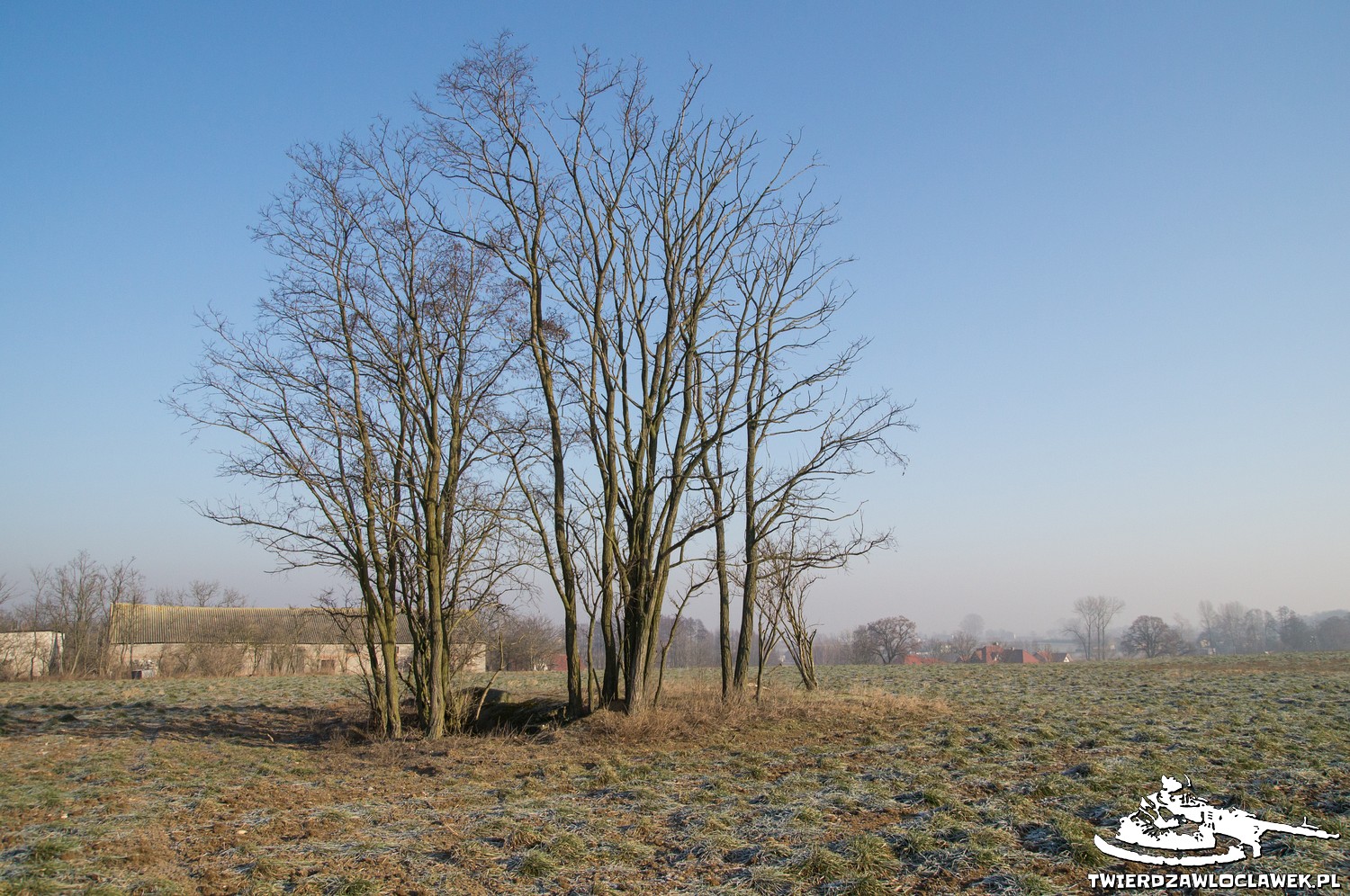 Read more about the article Schron Regelbau 668 – SE C