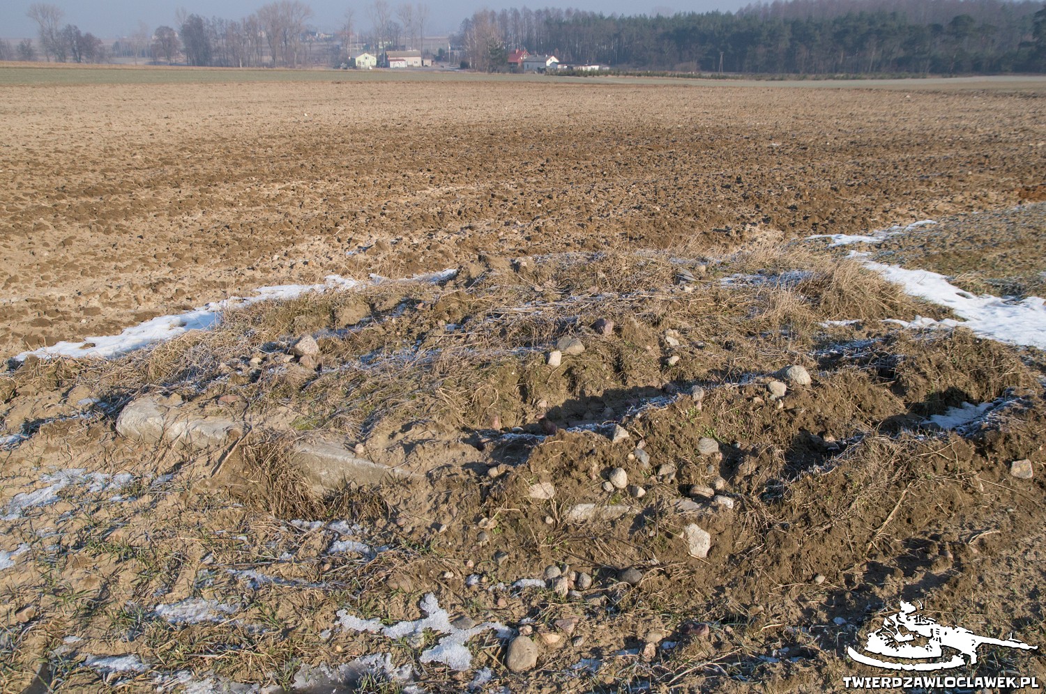 Read more about the article Schron Ringstand 58c – SE 19