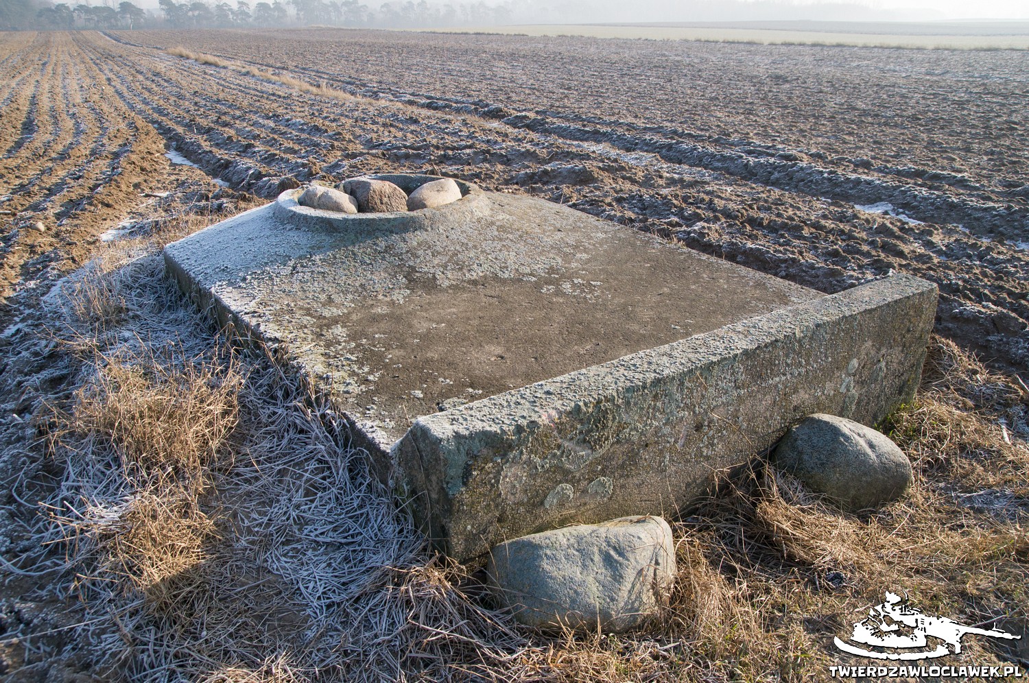 Read more about the article Schron Ringstand 58c – SE 18